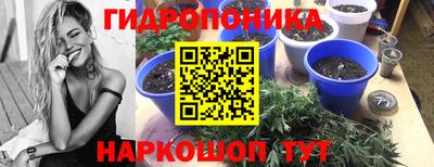 spice Коммунар