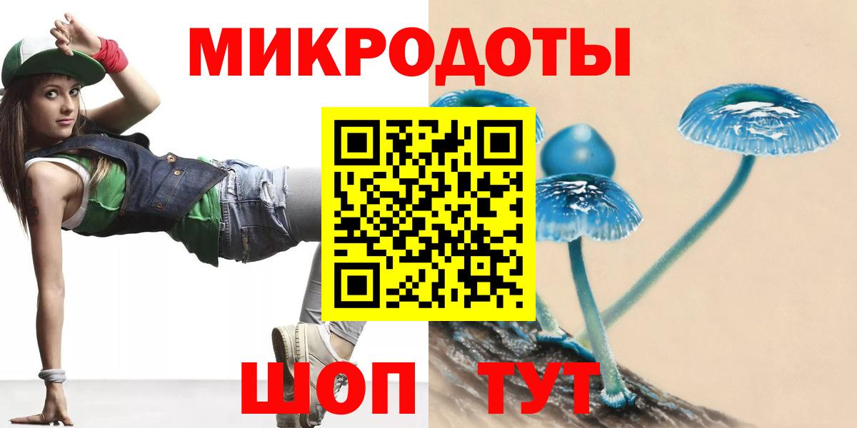 Галлюциногенные грибы Psilocybe Качканар